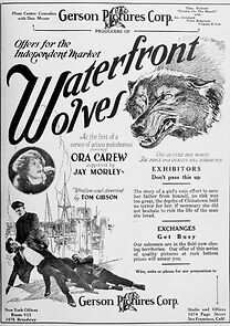Watch Waterfront Wolves