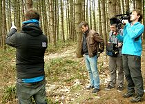 Watch Out of the Woods (Short 2012)