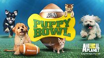 Watch Puppy Bowl II (TV Special 2006)