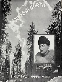 Watch Wolves of the North