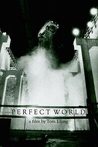 Watch Perfect World
