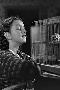 Watch De blå undulater