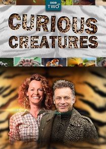 Watch Curious Creatures