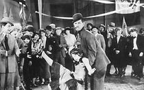 Watch Bad Boy (Short 1925)