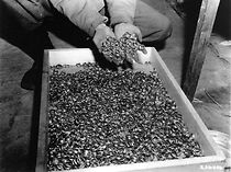 Watch Blood Money: Switzerland's Nazi Gold