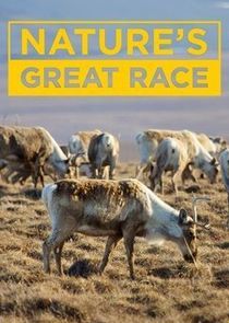 Watch Nature's Great Race