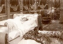 Watch The Leap to Death (Short 1912)