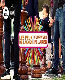 Watch Les feux de Laeken (Short 2017)