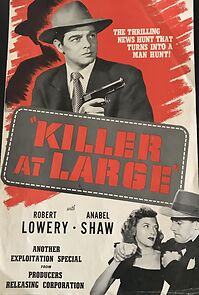 Watch Killer at Large