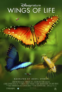 Watch Disneynature: Wings of Life