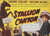 Watch Stallion Canyon