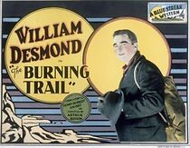 Watch The Burning Trail