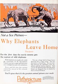 Watch Why Elephants Leave Home (Short 1923)