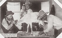 Watch The Gambling Fool