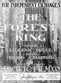 Watch The Forest King