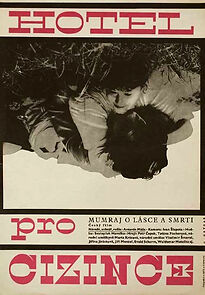 Watch Hotel pro cizince