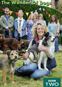 Watch The Wonder of Dogs