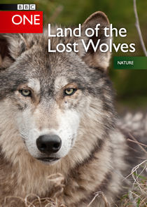 Watch Land of the Lost Wolves