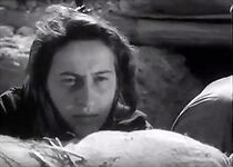 Watch No Alternative