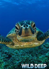 Watch Wild Deep