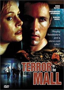 Watch Terror in the Mall
