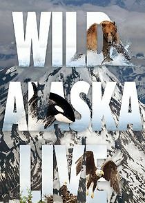 Watch Wild Alaska Live