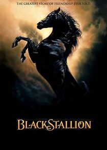 Watch The Adventures of the Black Stallion