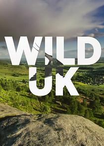 Watch Wild UK