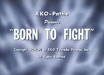 Watch Born to Fight (Short 1956)