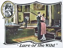 Watch The Lure of the Wild