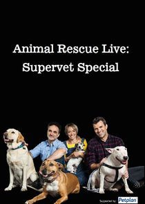 Watch Animal Rescue Live: Supervet Special