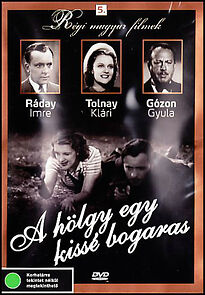 Watch A hölgy egy kissé bogaras