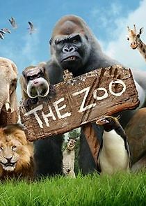 Watch The Zoo