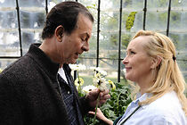 Watch La veuve tatouée