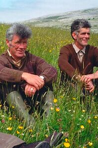 Watch It's Now or Never (Short 1997)