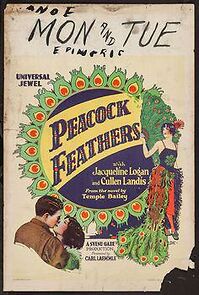 Watch Peacock Feathers