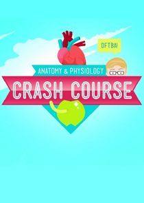 Watch Crash Course Anatomy & Physiology