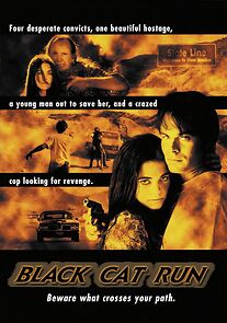 Watch Black Cat Run
