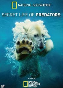 Watch Secret Life of Predators