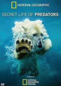 Watch Secret Life of Predators