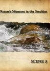 Watch Nature's Moment in the Smokies 3