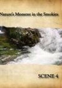Watch Nature's Moment in the Smokies 4