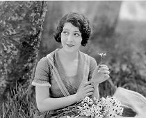 Watch Rose of the World