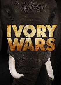 Watch Ivory Wars