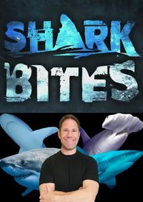 Watch Shark Bites