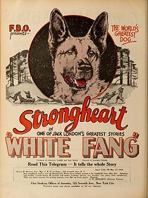 Watch White Fang
