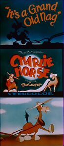 Watch It's a Grand Old Nag (Short 1947)