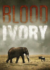 Watch Blood Ivory