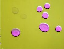 Watch Scherzo (Short 1939)