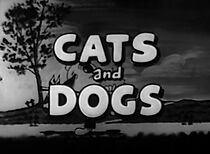 Watch Cats and Dogs (Short 1932)